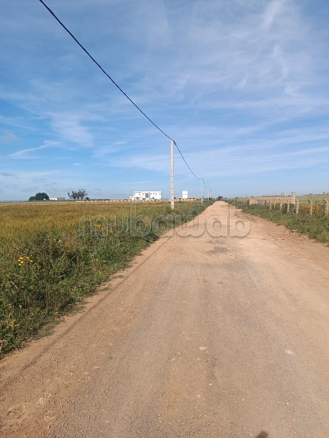 Kopen: land. Oppervlakte 15000 m²