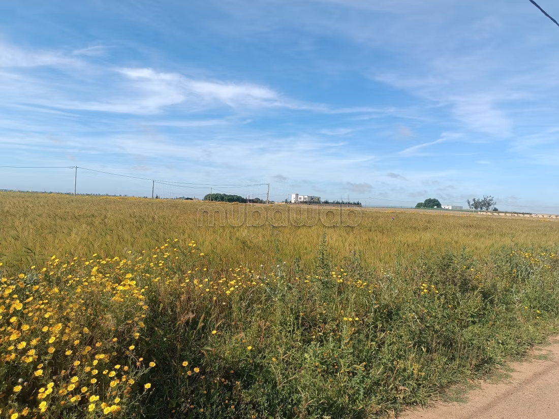 Kopen: land. Oppervlakte 15000 m²