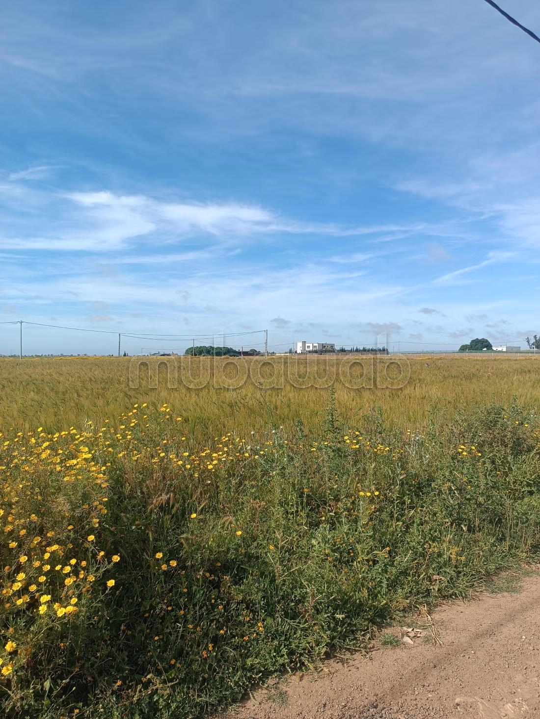 Kopen: land. Oppervlakte 15000 m²
