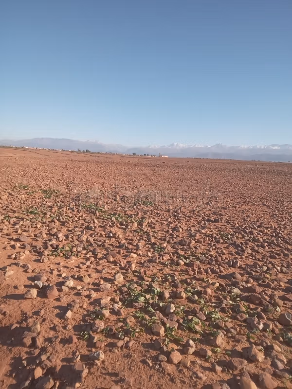 Terrain Titré 2,6Ha 
route de casablanca