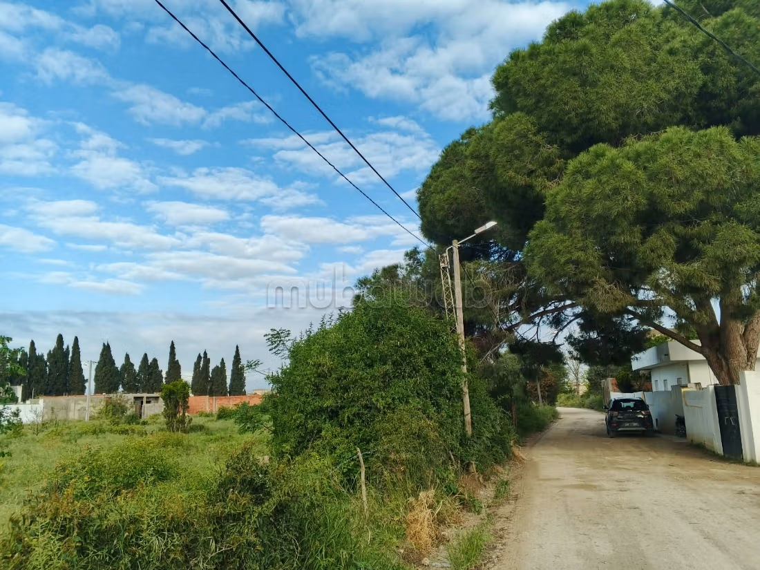Terrain a vendre menzel bouzelfa