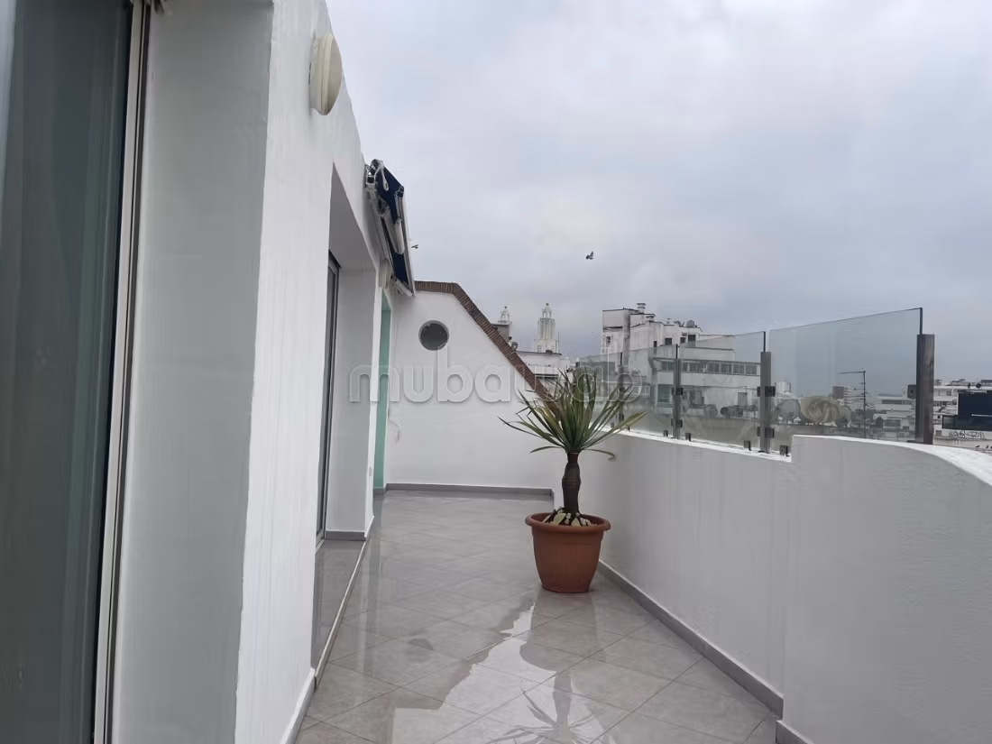 Dernier etage terasse soleil proche catedrale et parc de la ligue arabe — 3
