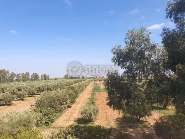 Terreno en venta 59,996 m² Ruta de Ourika Marrakech