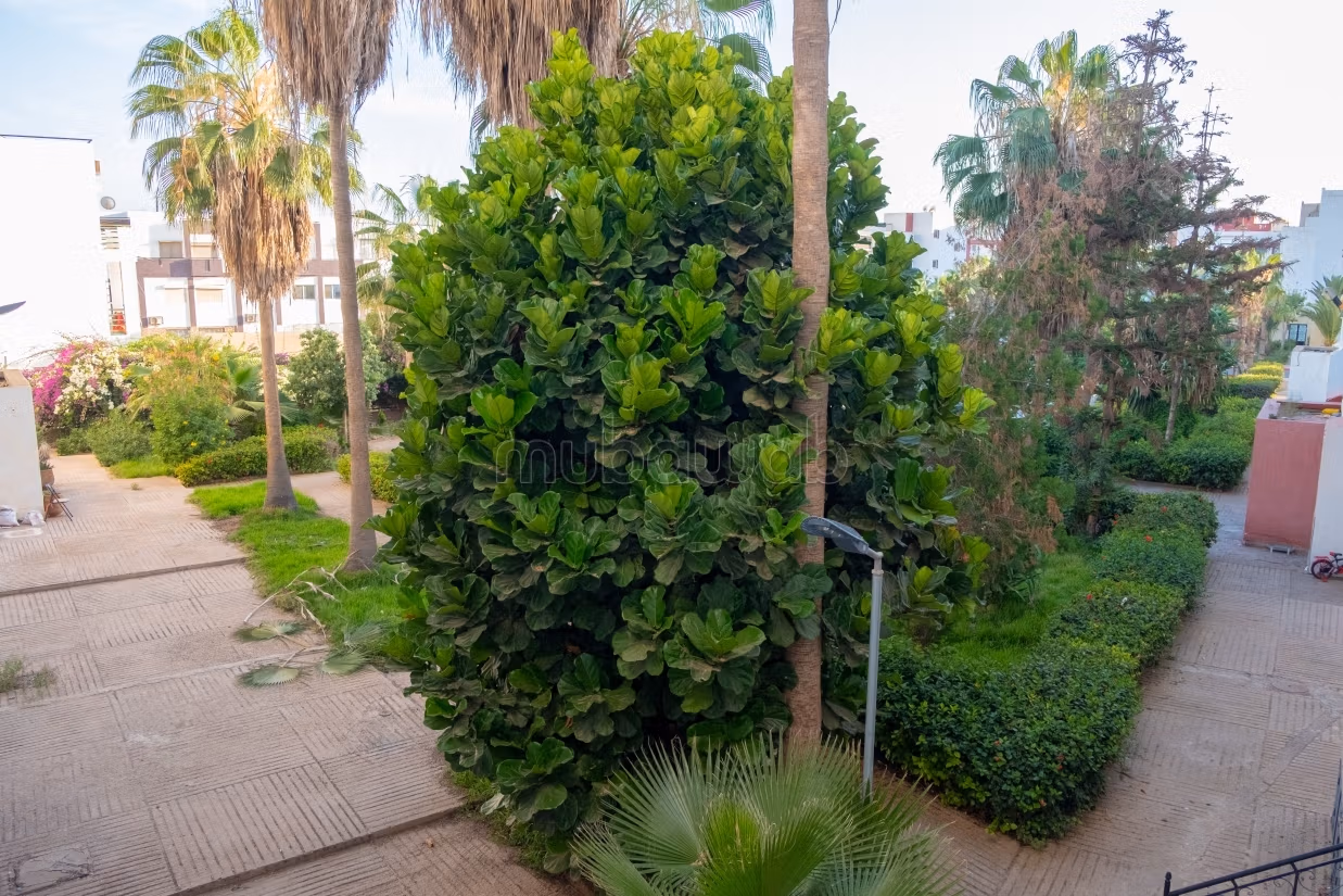 Appartement a vendre de 75m²
al wifak
agadir — 6
