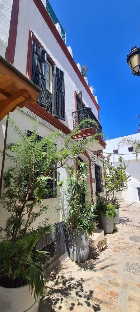 Riad lumineux et entièrement restauré