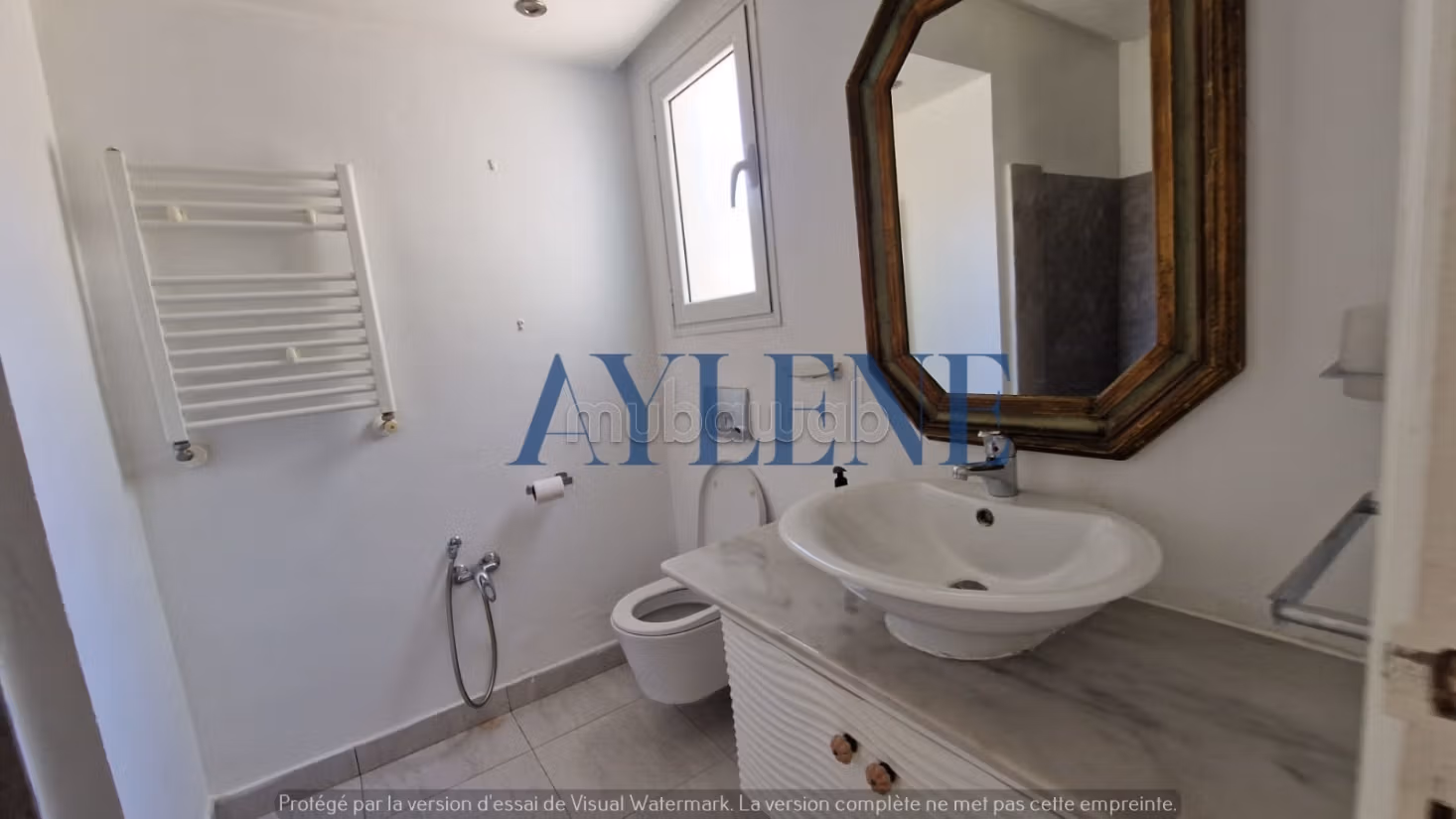 Location villa avec piscine a la marsa