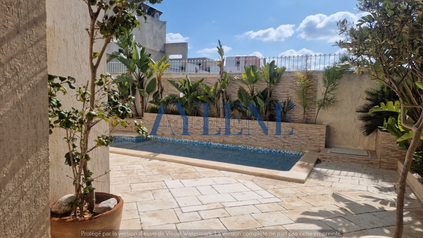 Location villa avec piscine a la marsa