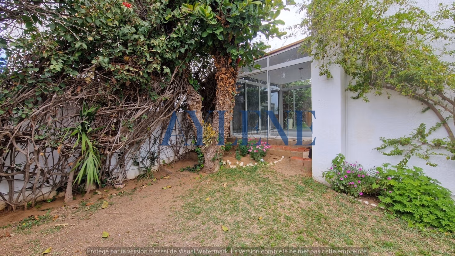 Affitto villa con piscina a La Marsa
