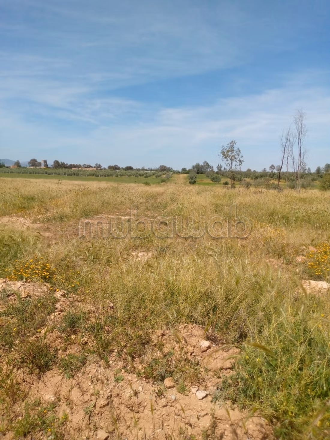 Terreno titulado en venta