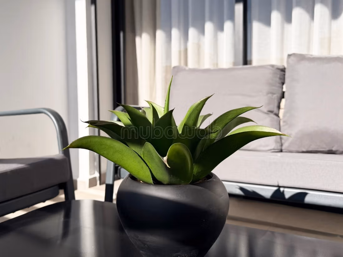 High standard furnished apartment with taste