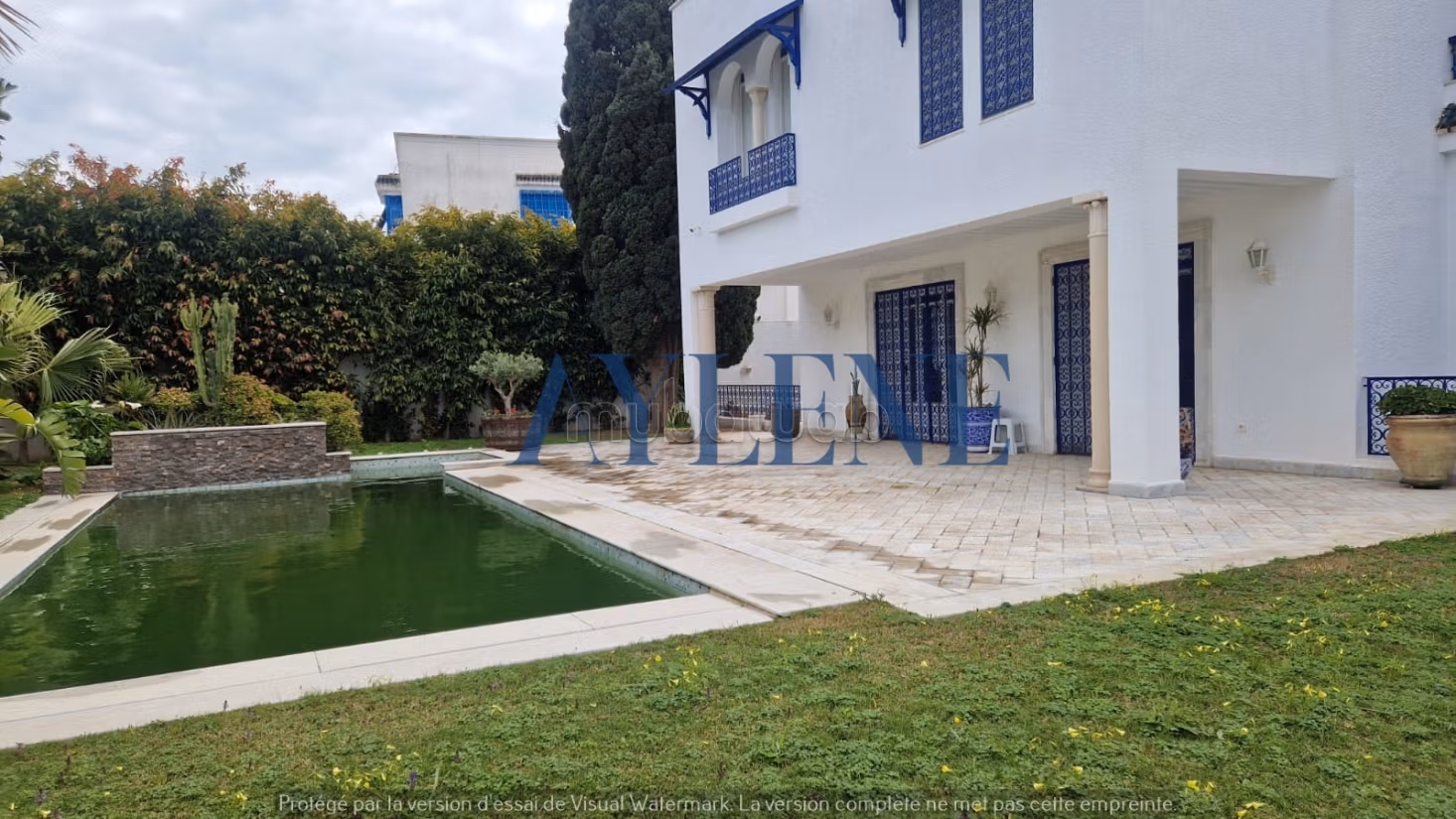 Villa with pool in Sidi Bou Said