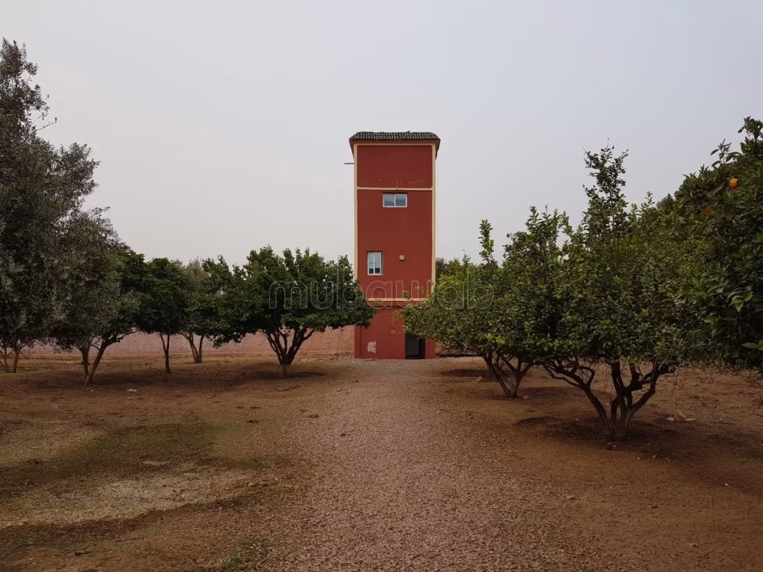 Granja en venta. Gran superficie 13000 m²