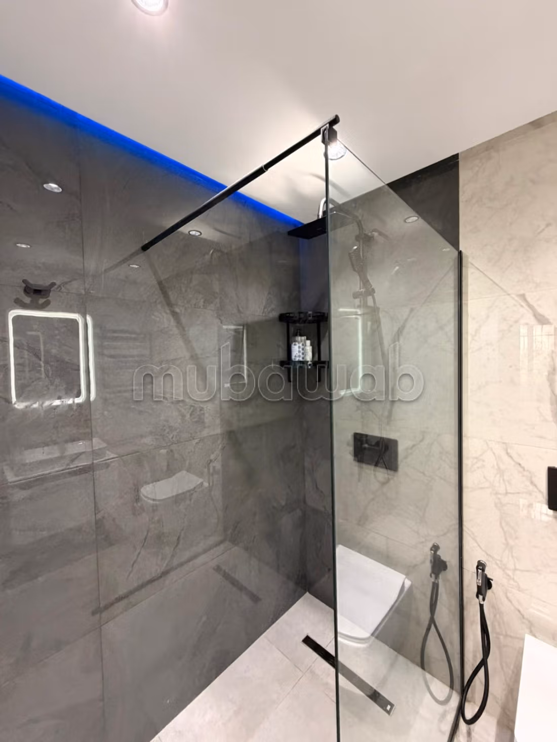 Magnificent renovated apartment
