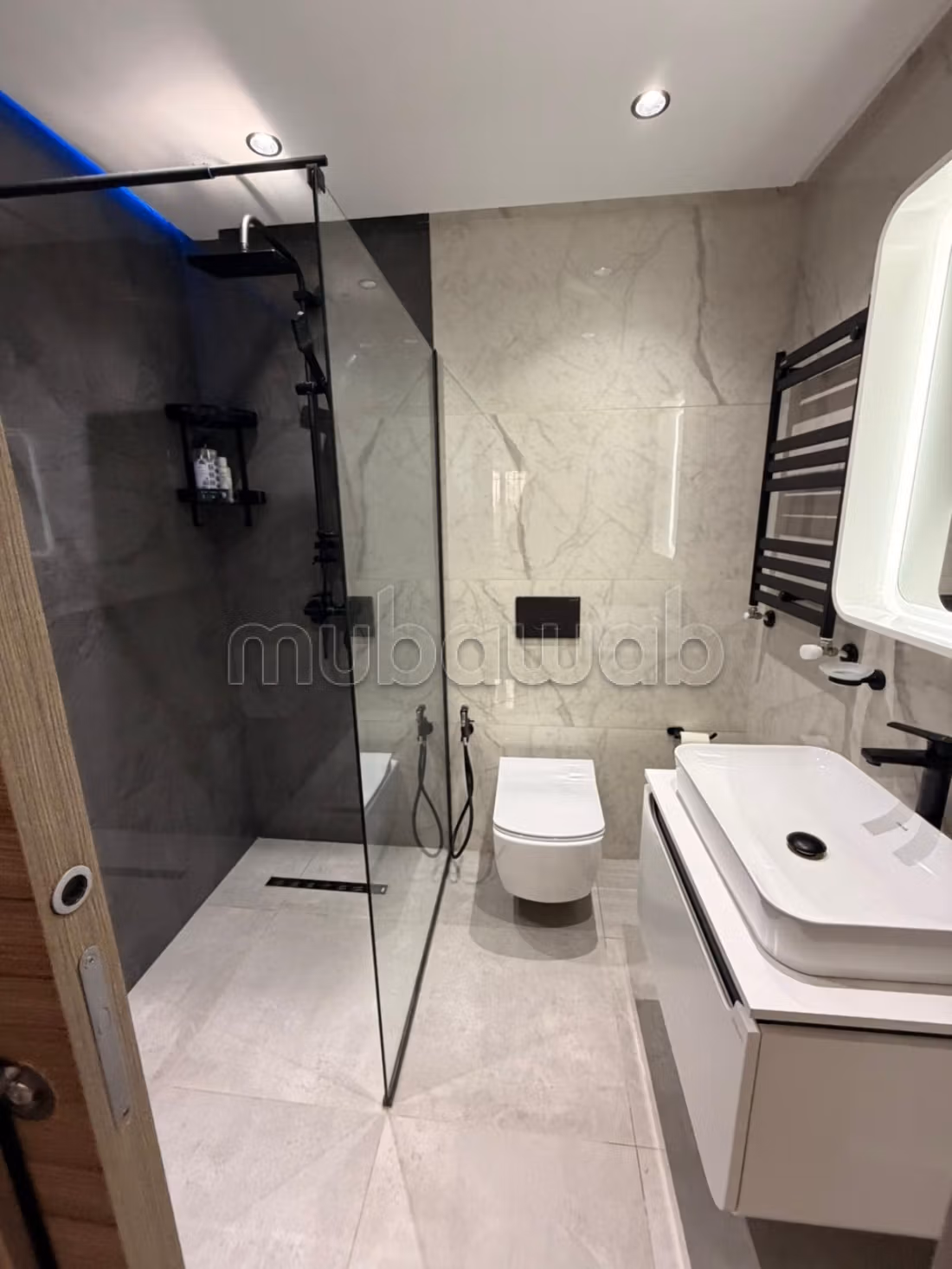 Magnificent renovated apartment