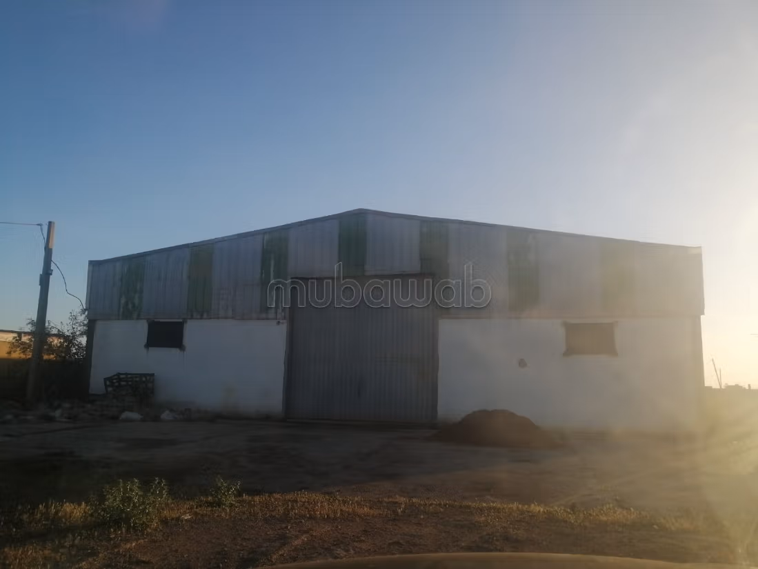 Depots for rent - Berrechid