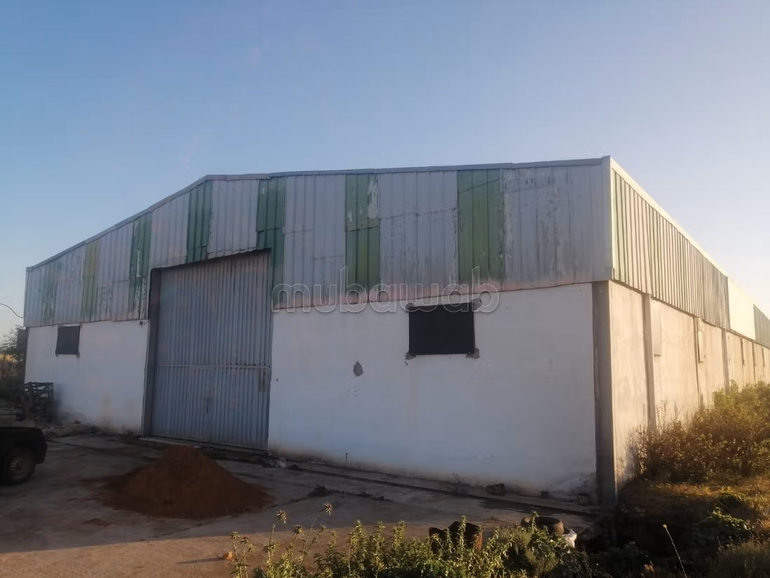 Depots for rent - Berrechid