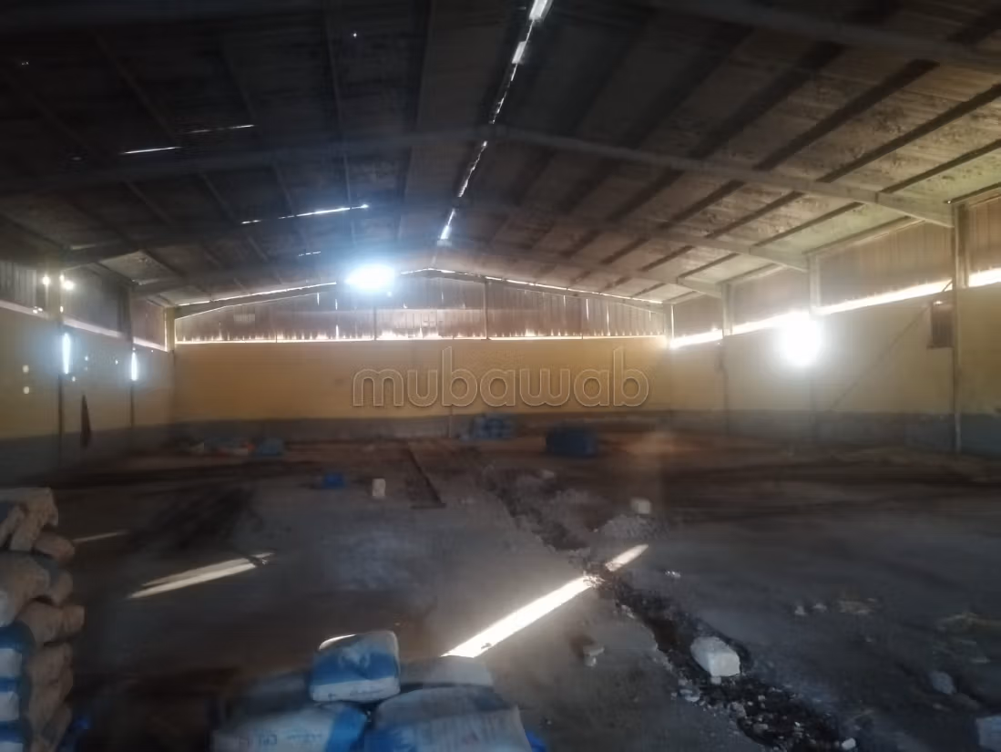 Depots for rent - Berrechid