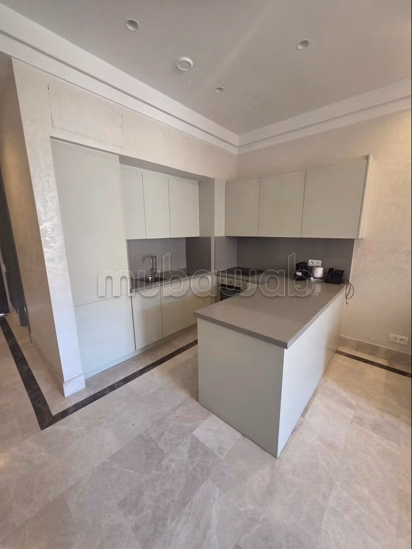 Superbe appartement à louer à M Avenue. 1 chambre. Bien meublé