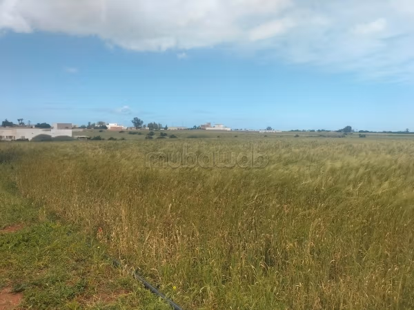 Terrain titrer agricol