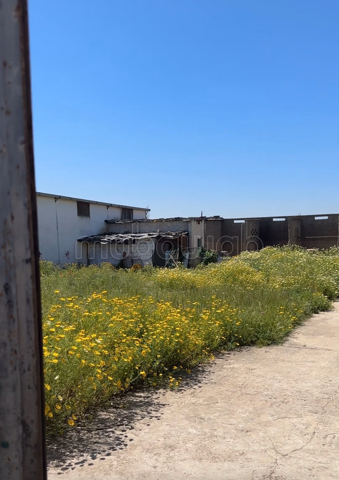 Terrain en vente à Oulad Ogba.
Superficie 2000 m²