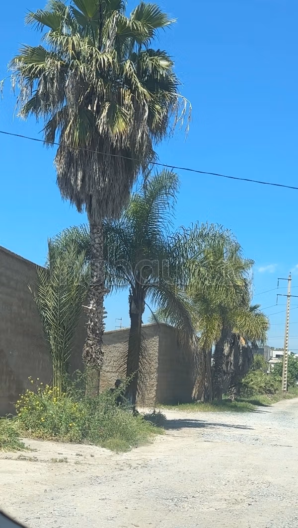 Terrain en vente à Oulad Ogba.
Superficie 2000 m²