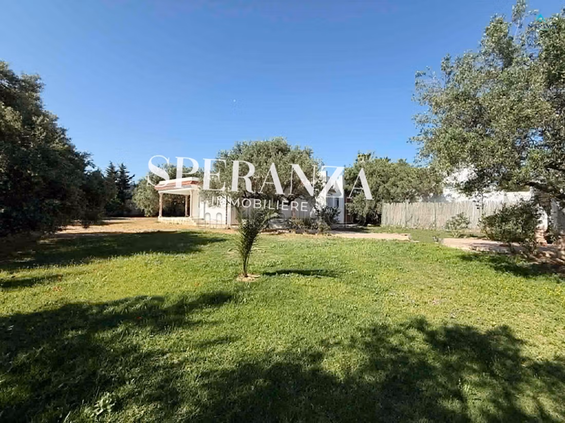Location Villa Fabio S3