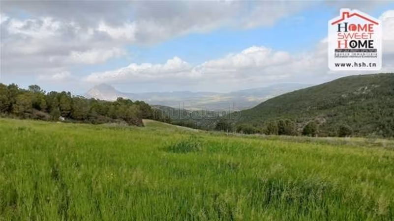 Terreno Agricolo Mandarino in Vendita a Mornag