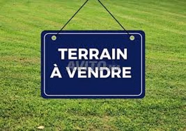 Terrain à vendre 100m