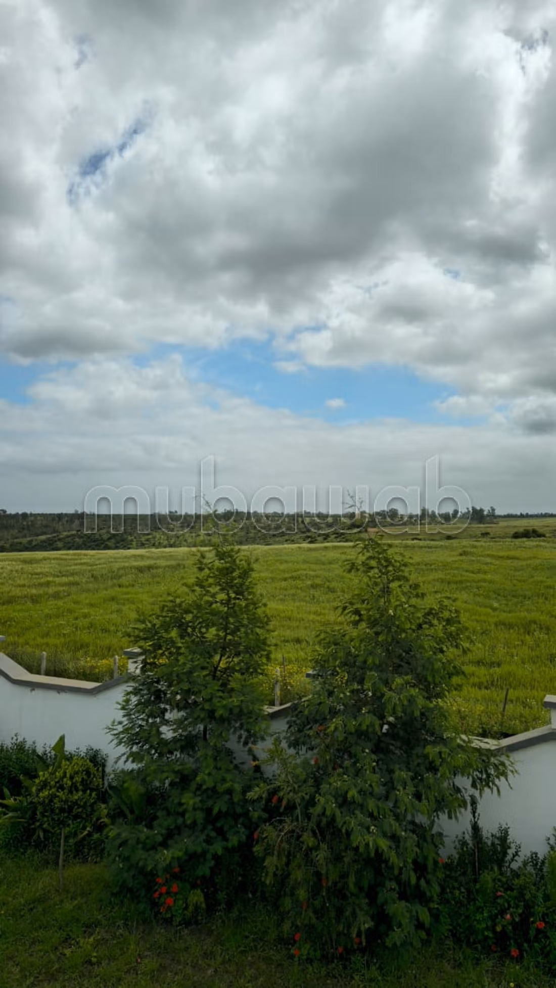 Une ferme de 3 hectares avec 2 villas