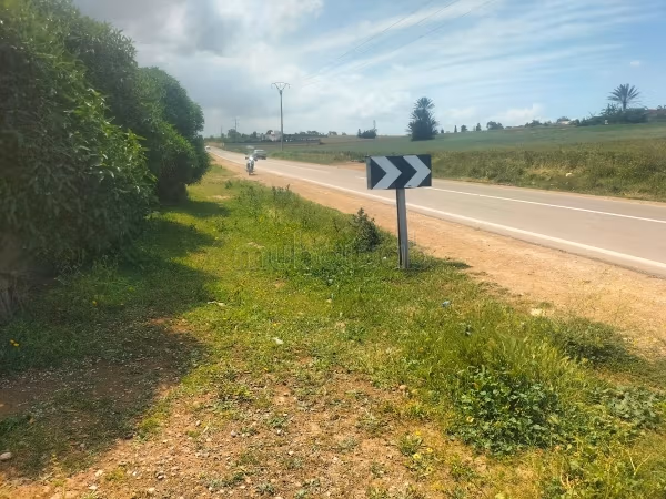 Land title on asphalt