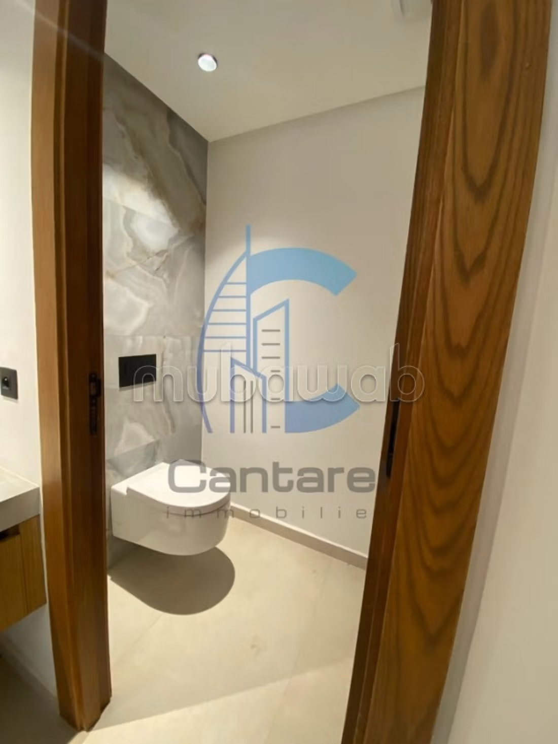 Vente appartement palmier
