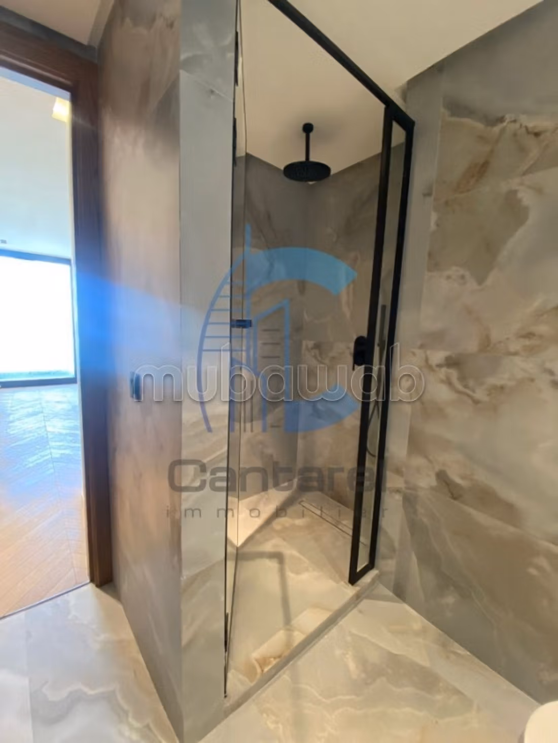 Vente appartement palmier