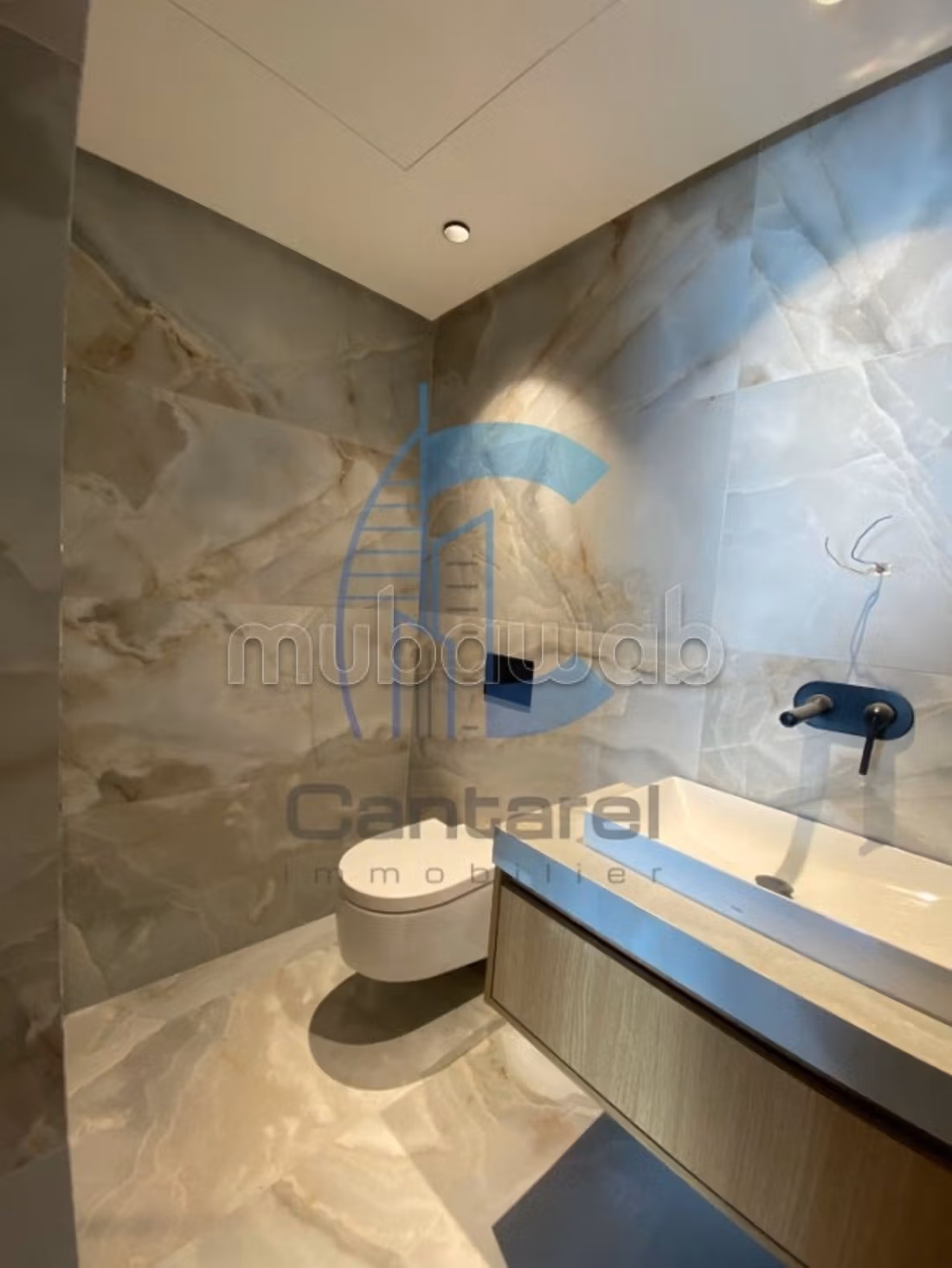 Vente appartement palmier