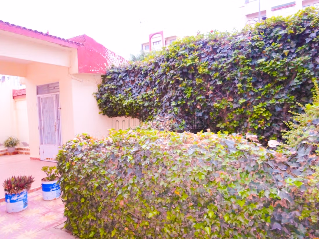 Somptueuse villa usage administratif en location