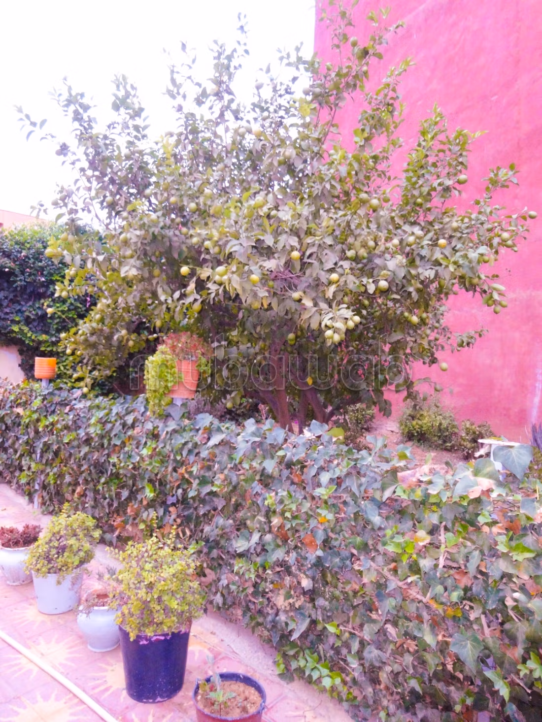Somptueuse villa usage administratif en location