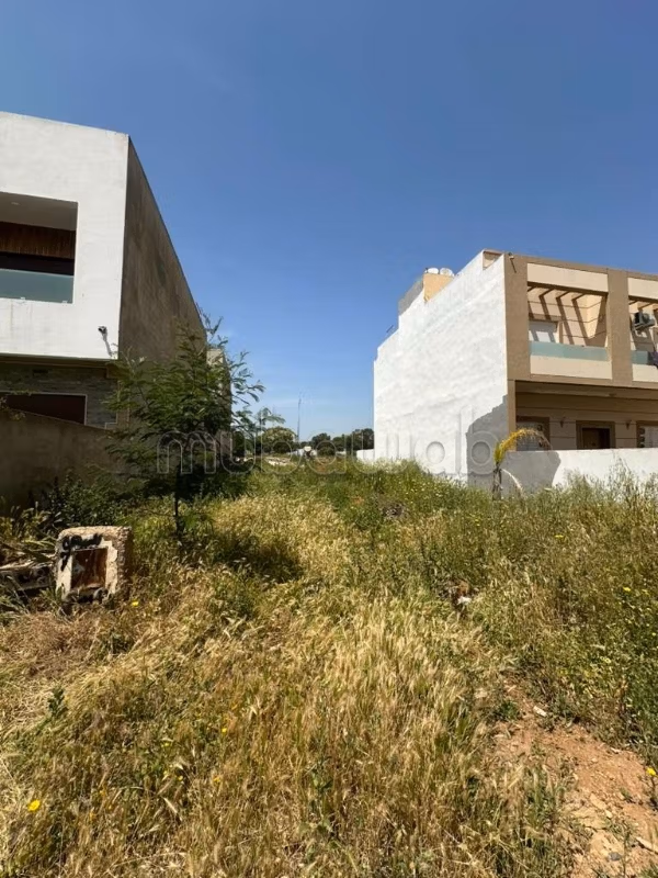 Terrain titré et loti de 214 m²