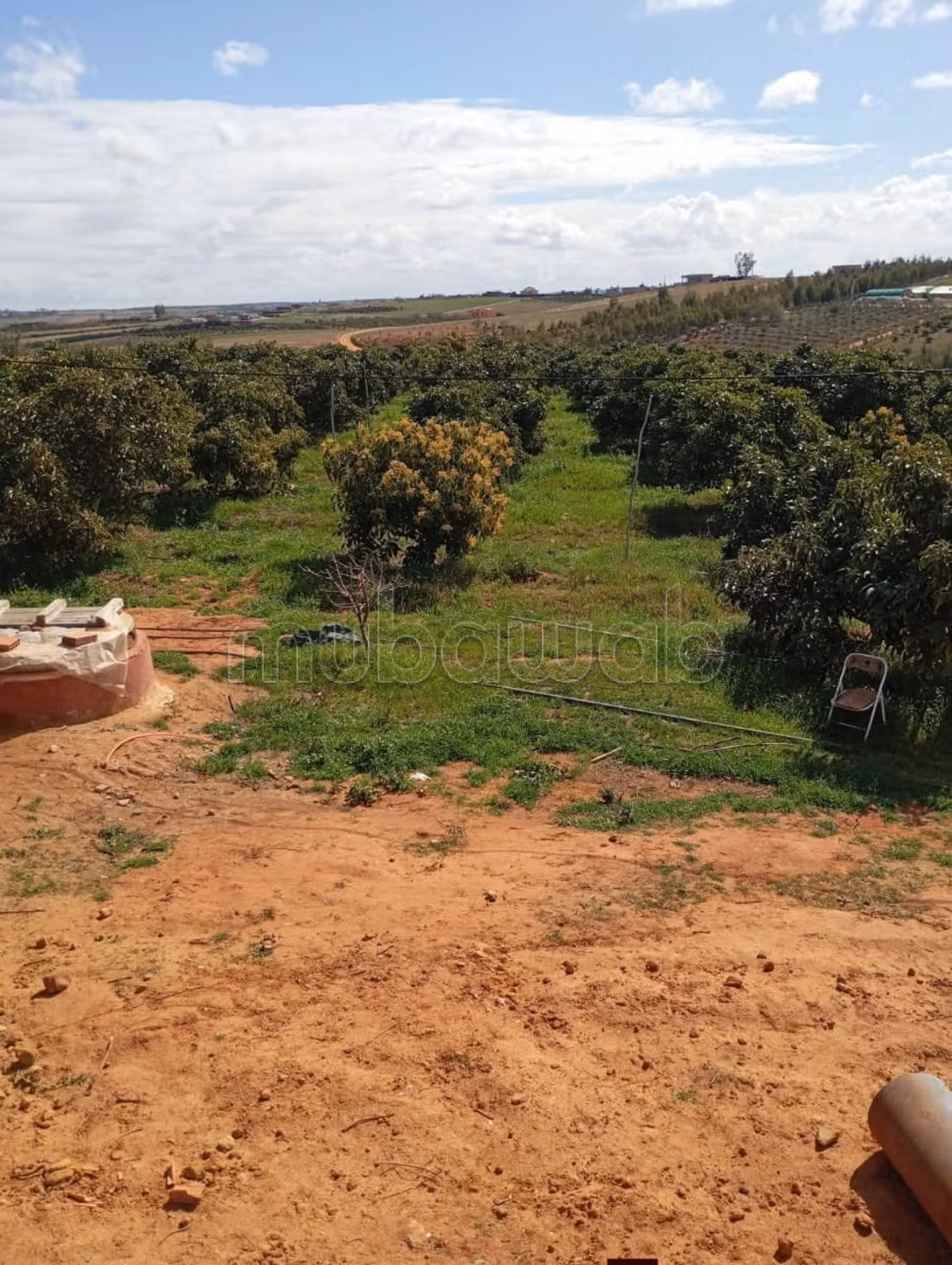 Agradable granja en venta. Área total 350000 m². Residencia segura