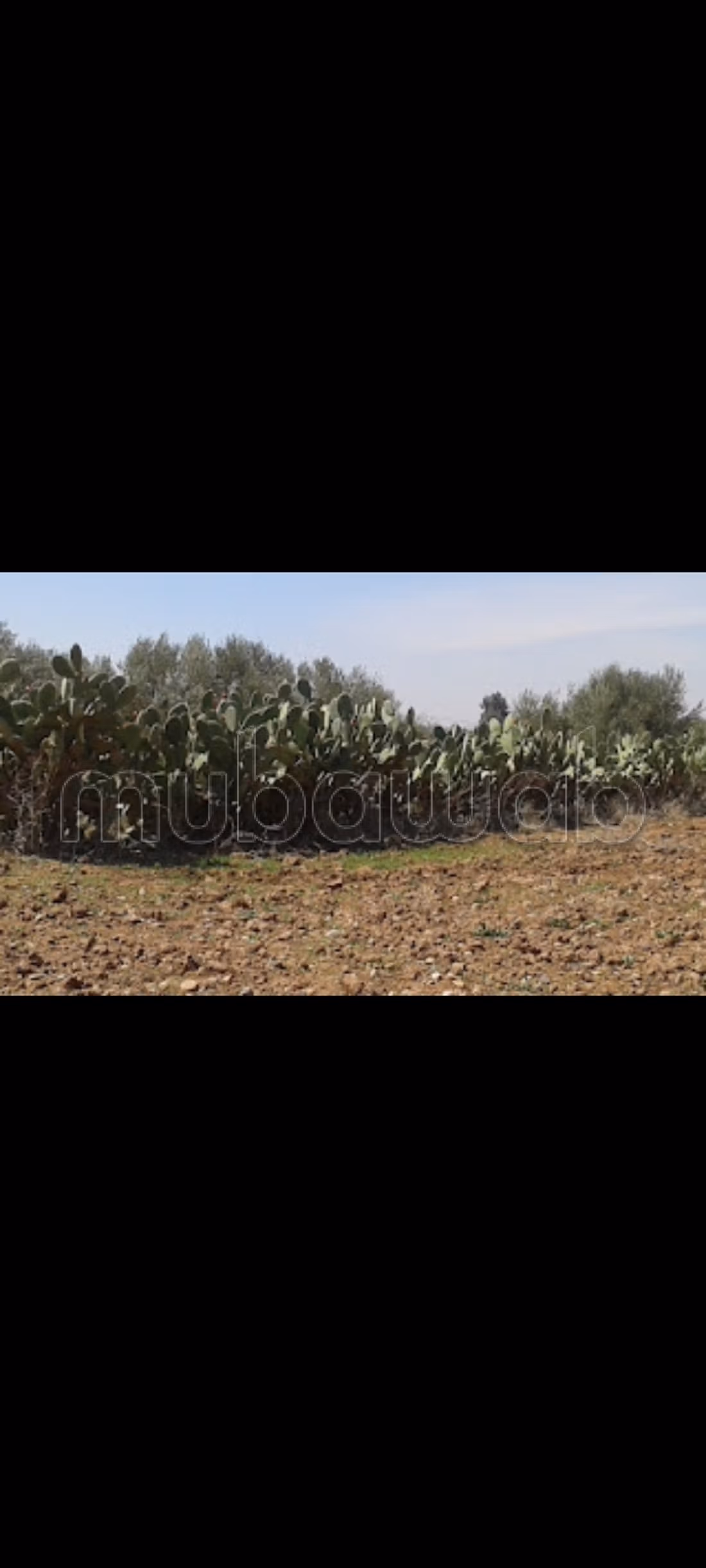 Terreno en venta ait faska