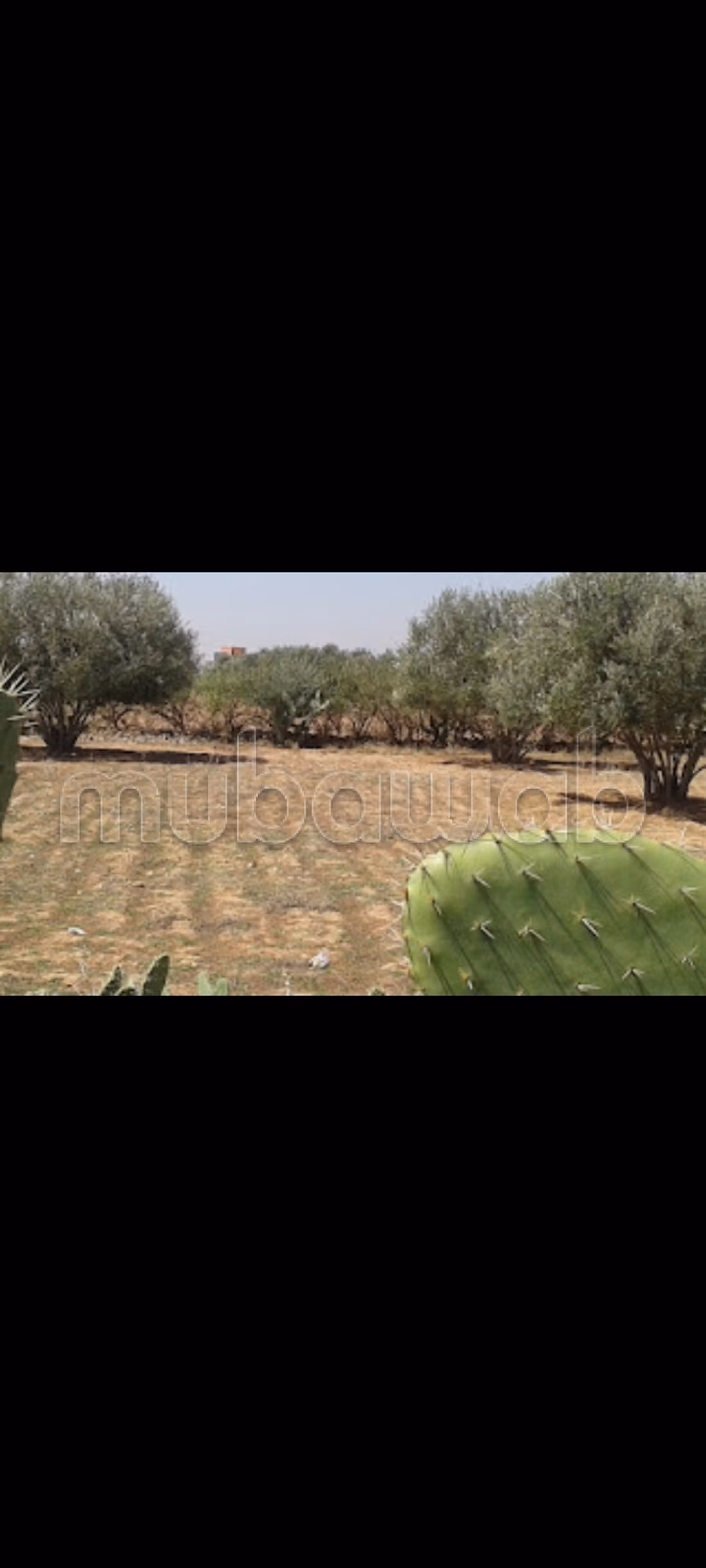 Terreno en venta ait faska