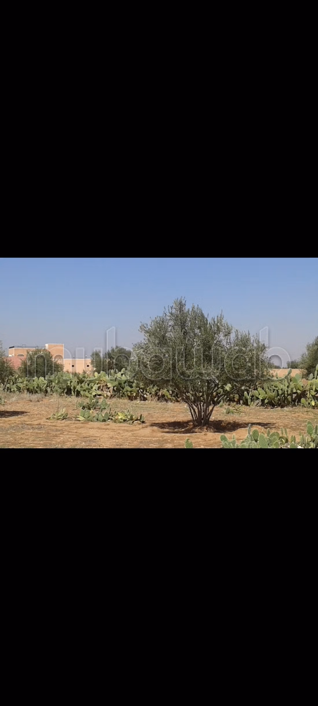 Terreno en venta ait faska