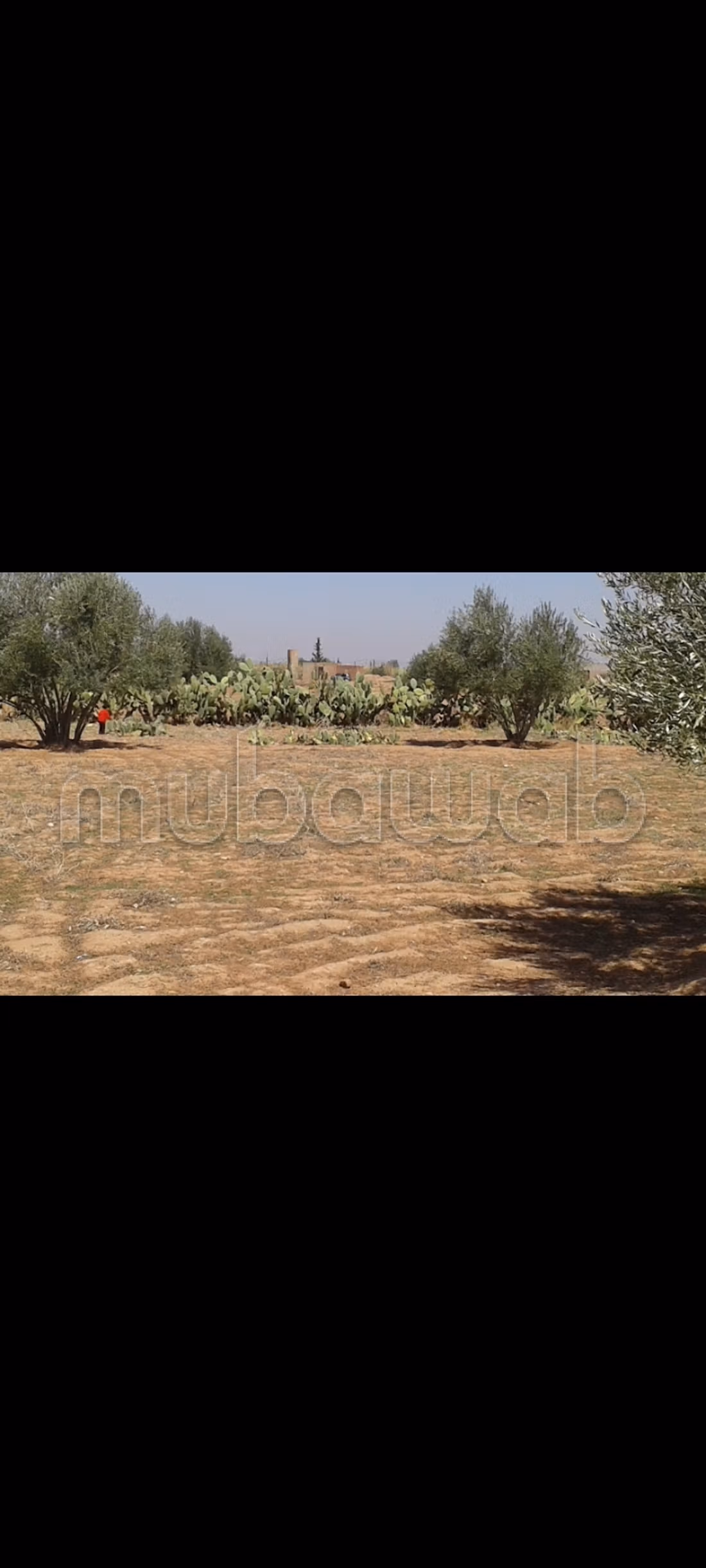 Terreno en venta ait faska