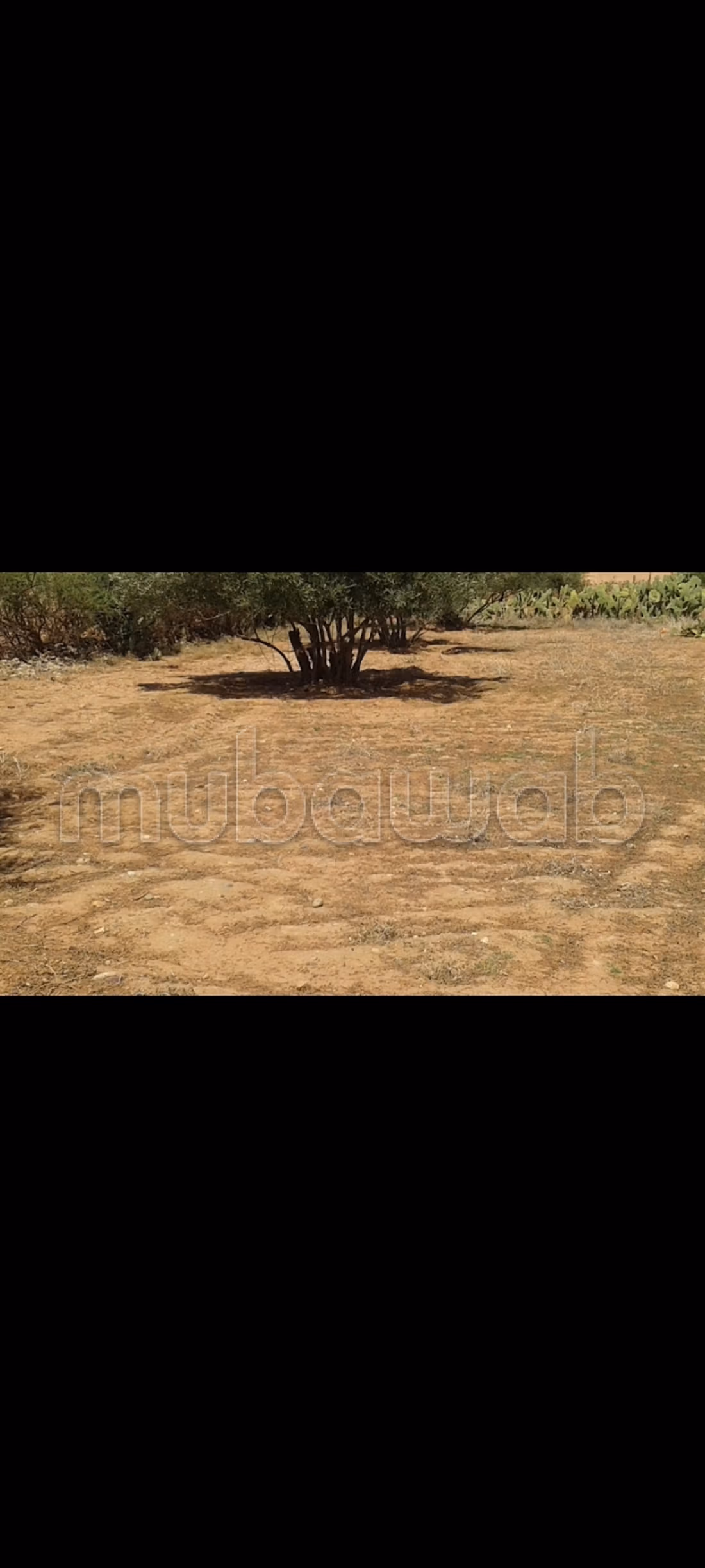 Terreno en venta ait faska