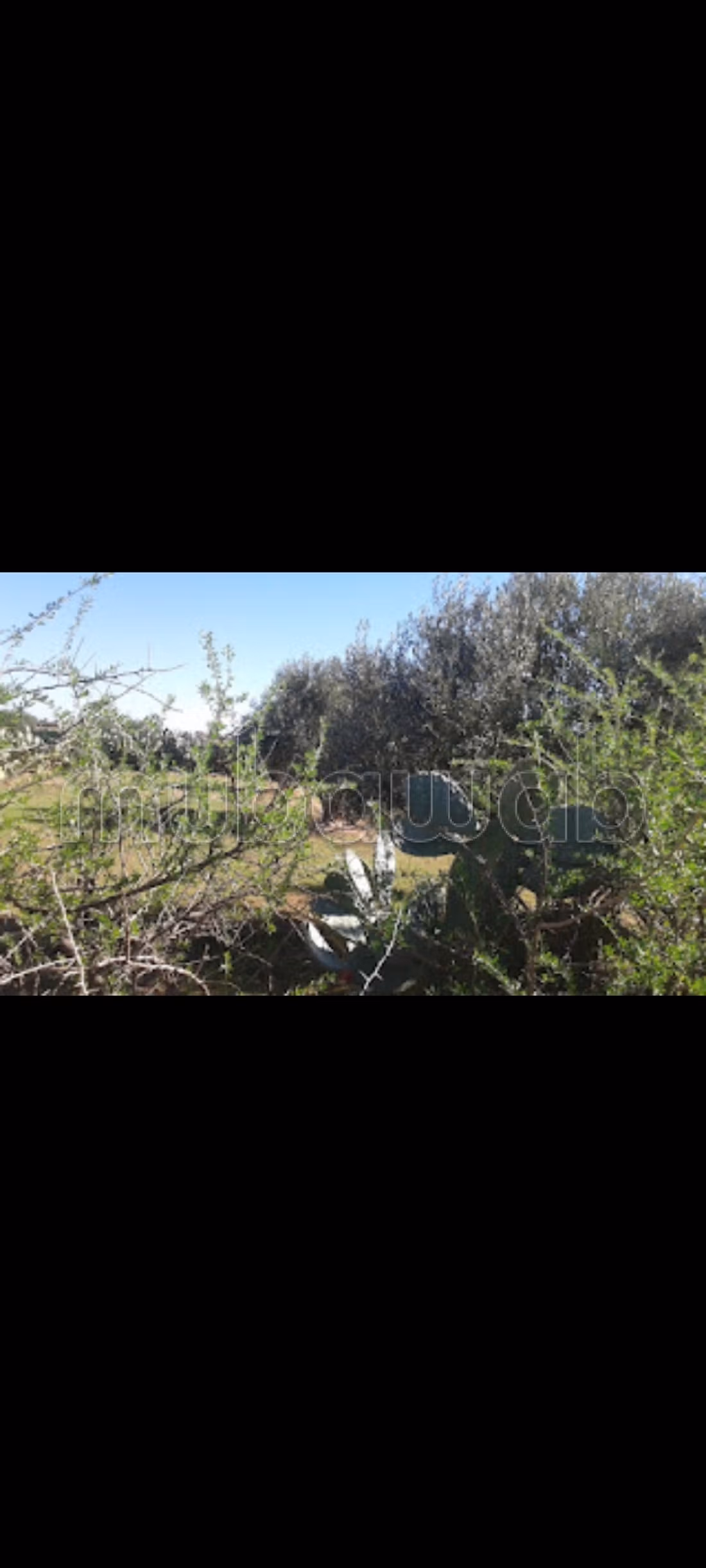 Terreno en venta ait faska