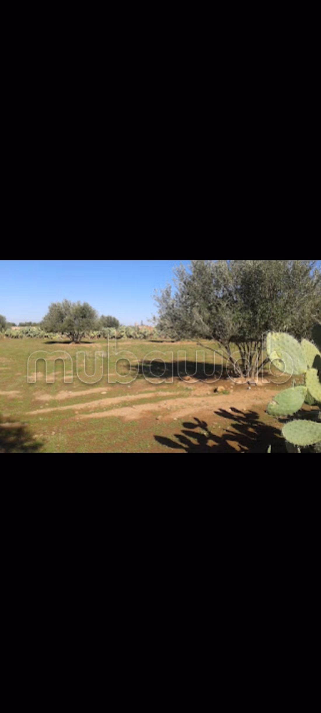 Terreno en venta ait faska