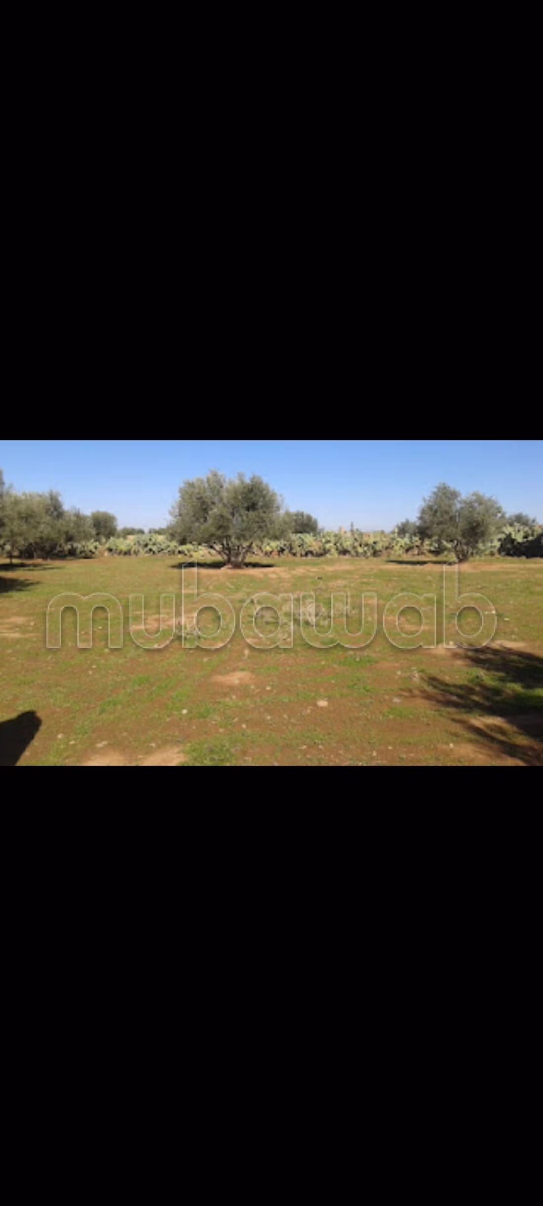 Terreno en venta ait faska