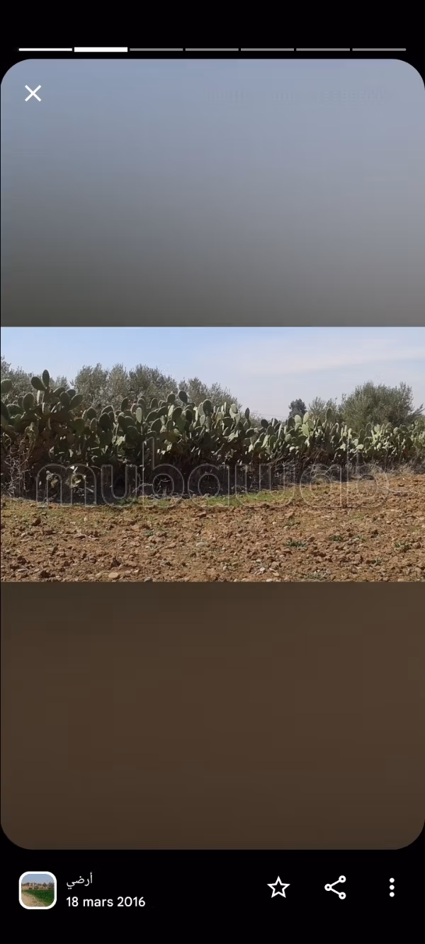 Terrein te koop Ait Faska