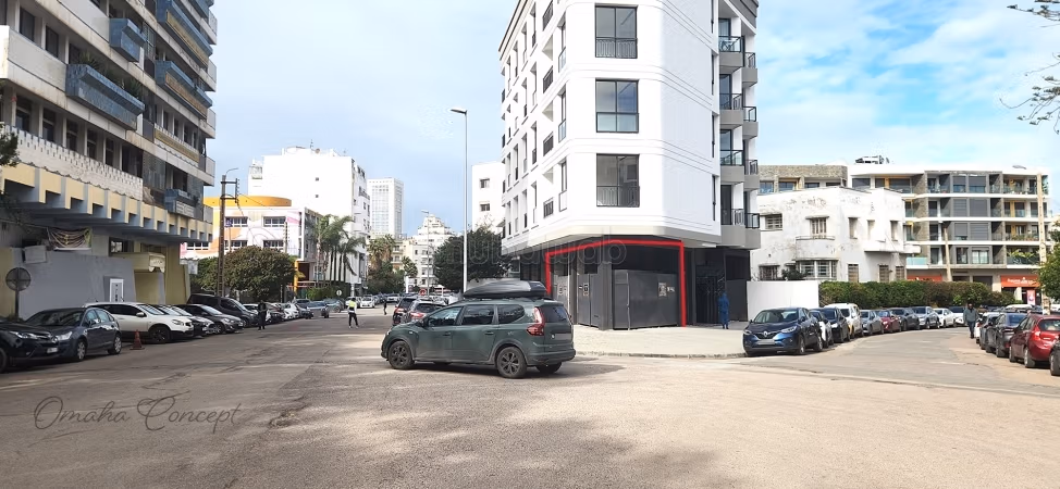ZELDZAAM Commerciële Ruimte Grote Terras 170m2 Palmier