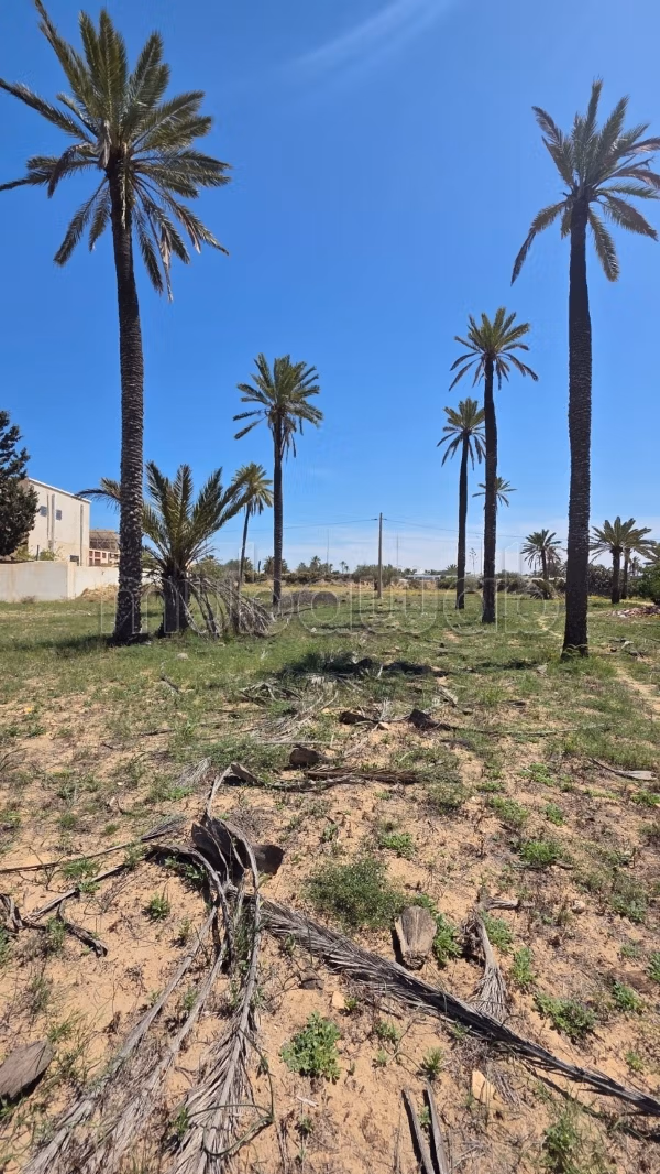 Terreno mahboubine strada midoun 2930m²