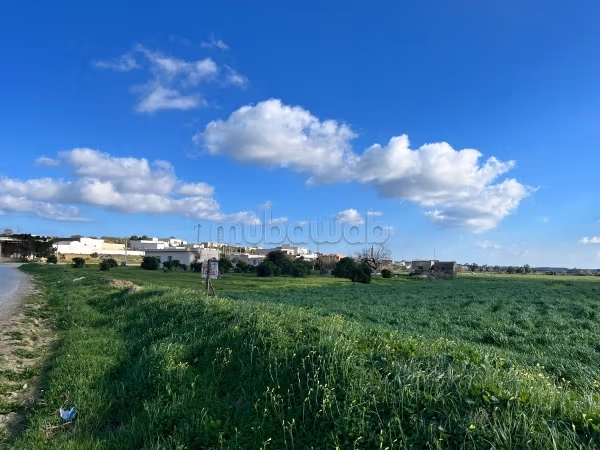 Terrain à vendre sur la route / avec un puits / dans une belle région calme