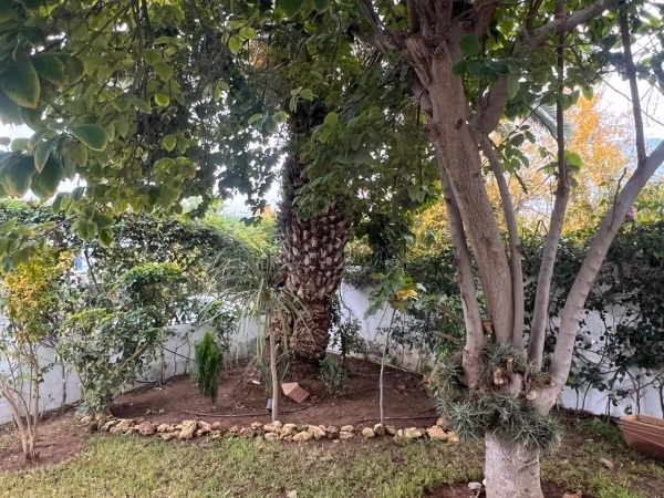 Vente de terrain à Riyad.
Surface de 780 m²